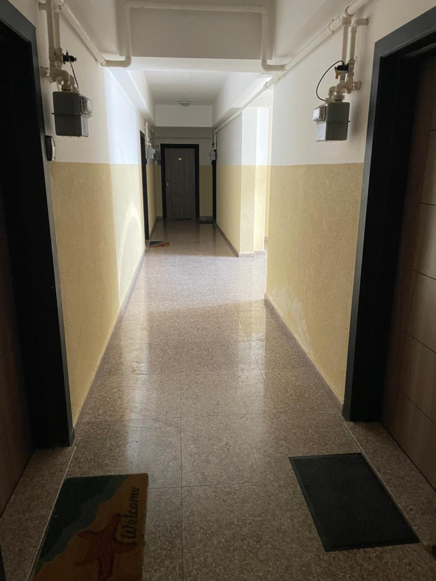 Apartament Summerland Crazy Beach ママイア エクステリア 写真